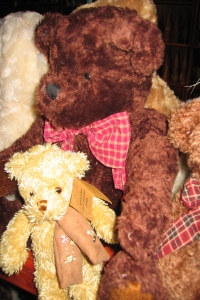 Teddybear showroom
